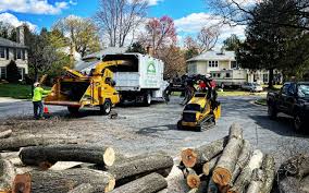Best Tree Maintenance Programs  in Gibbsboro, NJ