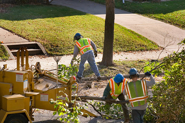 Best Arborist Consultation Services  in Gibbsboro, NJ